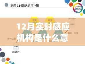 12月实时感应机构,友情与温情的奇妙相伴之旅