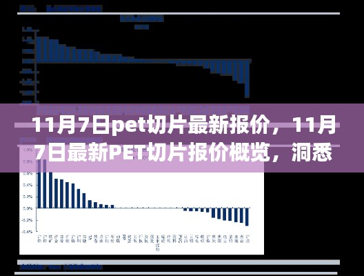 11月7日PET切片最新报价概览,洞悉市场动态