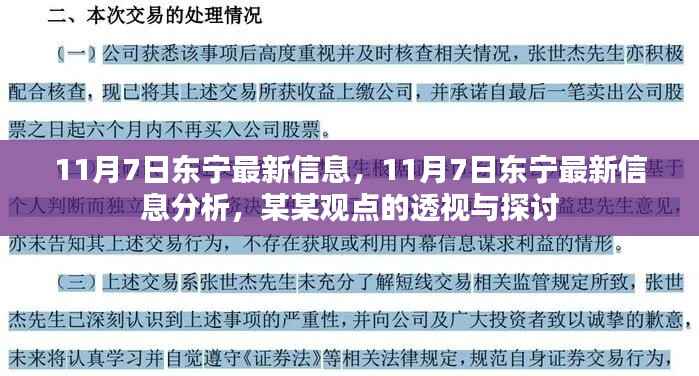 11月7日东宁最新信息解析，观点透视与探讨