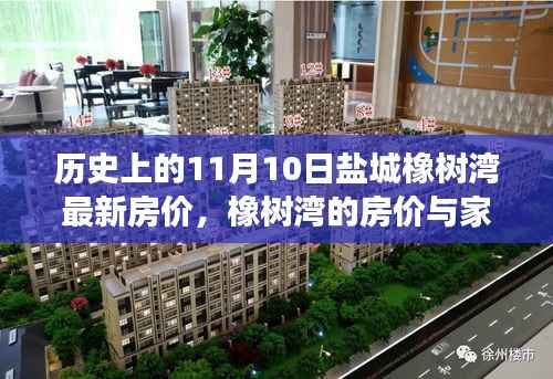 盐城橡树湾房价揭秘,历史变迁与家的温暖——友情与陪伴的日常故事