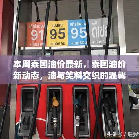 泰国油价最新动态,油与笑料的日常温馨交织