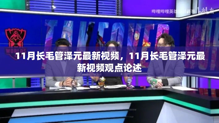 11月长毛管泽元最新视频观点深度解析