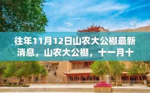山农大公棚最新进展,十一月十二日消息揭示深远影响与最新动态