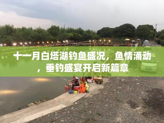 十一月白塔湖钓鱼盛况,鱼情涌动,垂钓盛宴开启新篇章