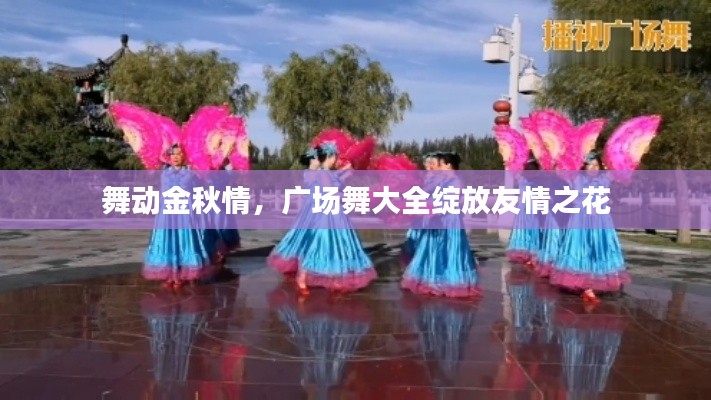 舞动金秋情,广场舞大全绽放友情之花
