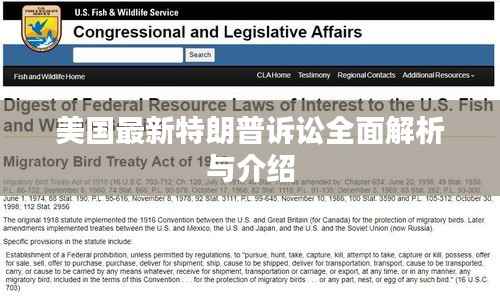 美国最新特朗普诉讼全面解析与介绍