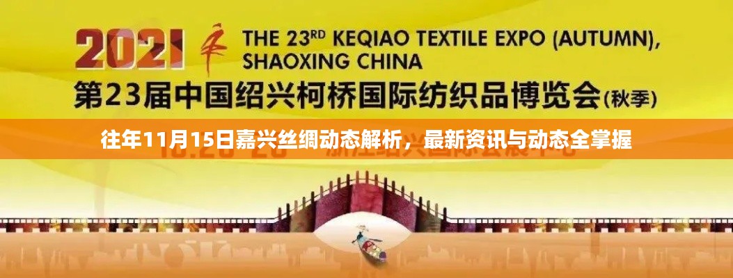 往年11月15日嘉兴丝绸动态解析,最新资讯与动态全掌握