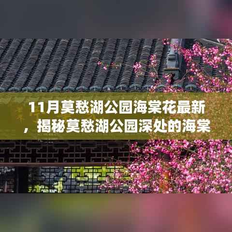 揭秘莫愁湖公园海棠秘境,海棠花盛开与小巷深处的特色小店