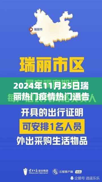 瑞丽疫情背景下的社会关注焦点,分析2024年11月25日瑞丽热门疫情通告
