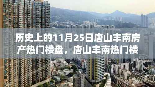 唐山丰南房产热门楼盘的温馨故事,友谊与家的奇遇——历史回顾与今日聚焦