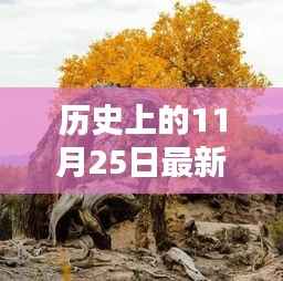 历史上的11月25日最新树种深度解析,全新特性与用户体验探讨