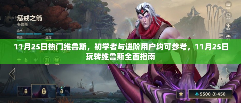 11月25日玩转维鲁斯,初学者与进阶用户指南