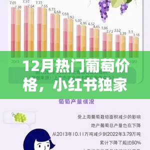 小红书独家揭秘,12月热门葡萄品种价格指南,选购无忧!
