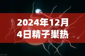 探索自然美景之旅,精子巢热门口的奇妙探索之旅(2024年)