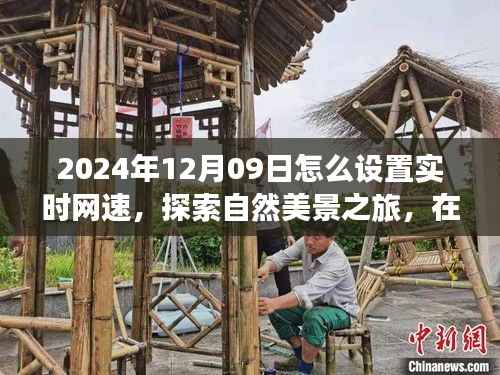 探索网速魔法,宁静自然之旅启程于2024年12月09日