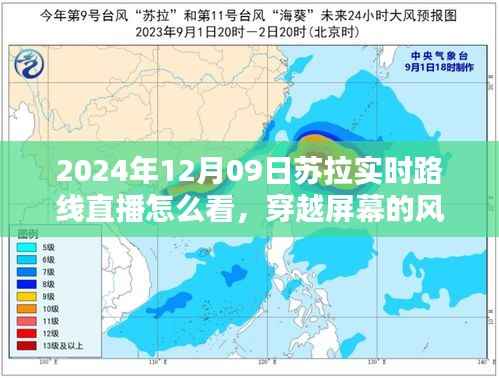 穿越屏幕的风暴,观看苏拉实时路线直播指南与激发学习热情秘籍