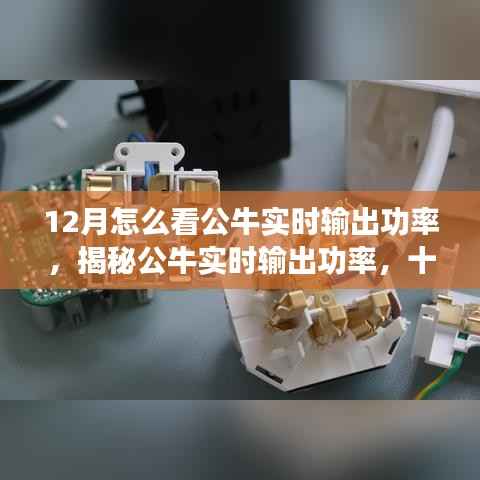 揭秘公牛实时输出功率,十二月观察指南助你洞悉公牛实时表现