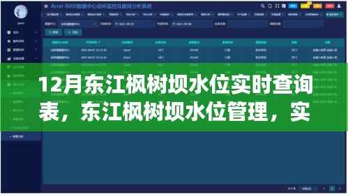 东江枫树坝水位管理，实时查询背后的权衡与观点探讨