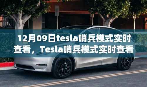 Tesla哨兵模式实时查看,利与弊的探讨