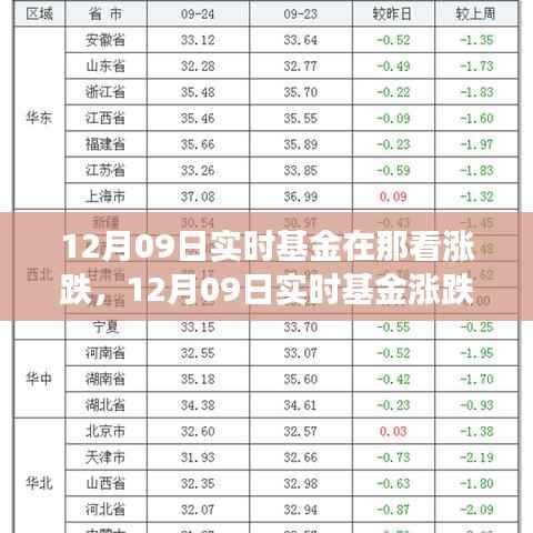 12月09日实时基金动态,涨跌观察与解析