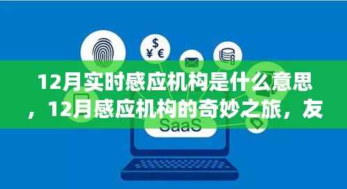 12月实时感应机构，友情与温情的奇妙相伴之旅