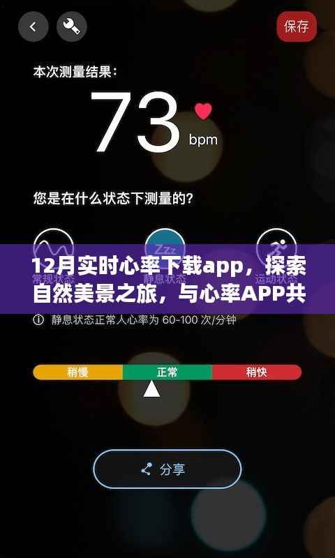 12月实时心率APP下载,探索内心平和之旅