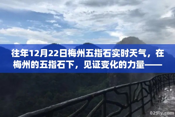 美轮美奂 第3页