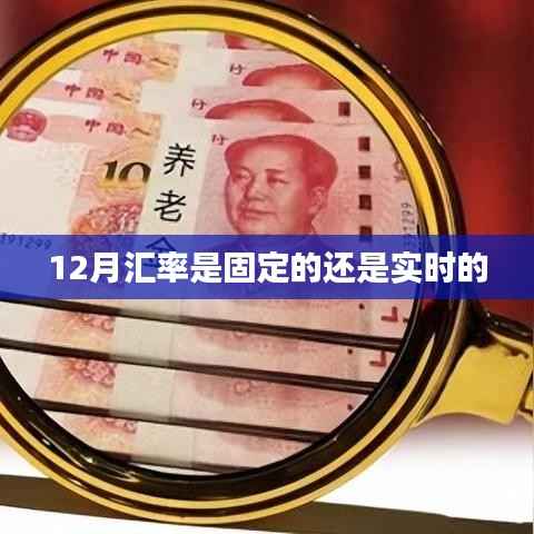 汇率变动解析,12月汇率是固定还是实时调整?