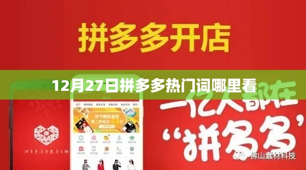 拼多多热门词查看指南,12月27日哪里看最热门?