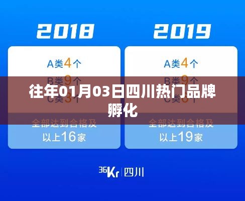 四川品牌孵化盛况，历年1月3日热点聚焦