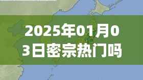 密宗趋势，揭秘热门密宗文化