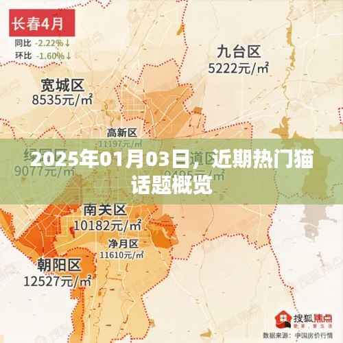 热门猫话题概览,2025年1月3日动态