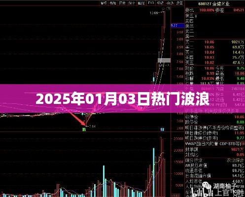 波浪热潮来袭!2025年1月3日热门动态