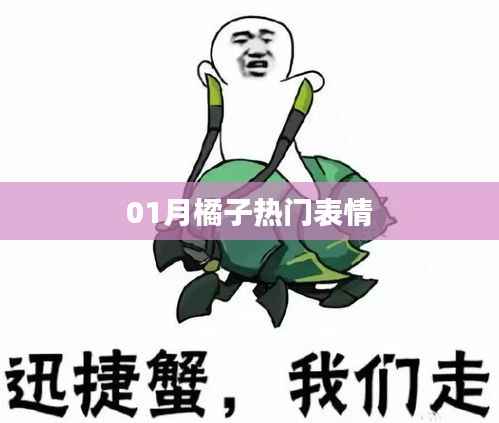 橘子表情一月大热风潮