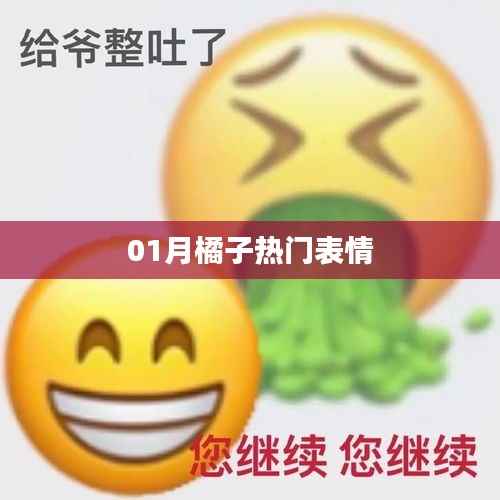 橘子表情一月大热风潮