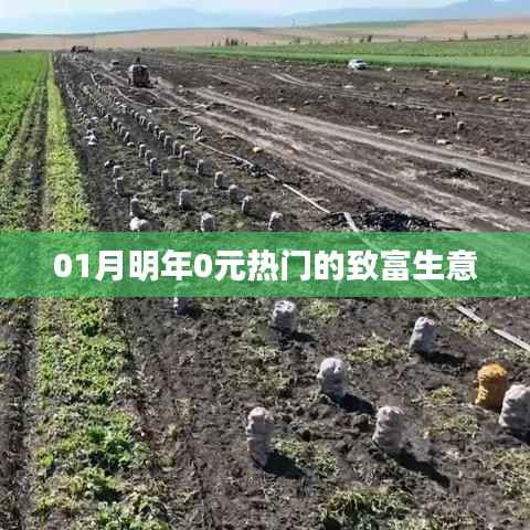 明年元月热门致富生意,零元起步,轻松赚钱!