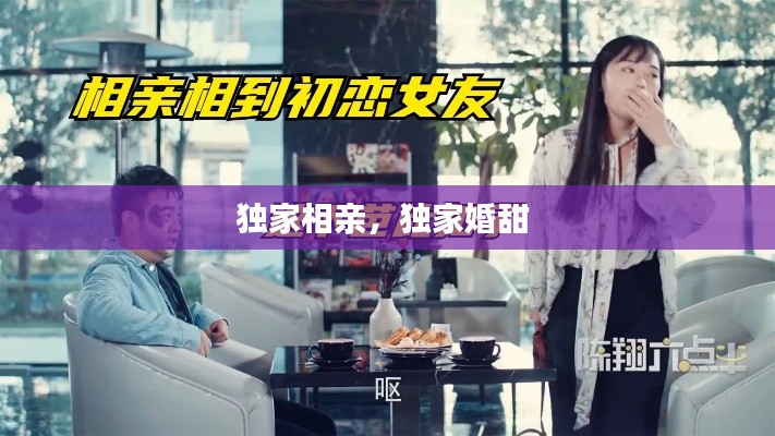 独家相亲,独家婚甜