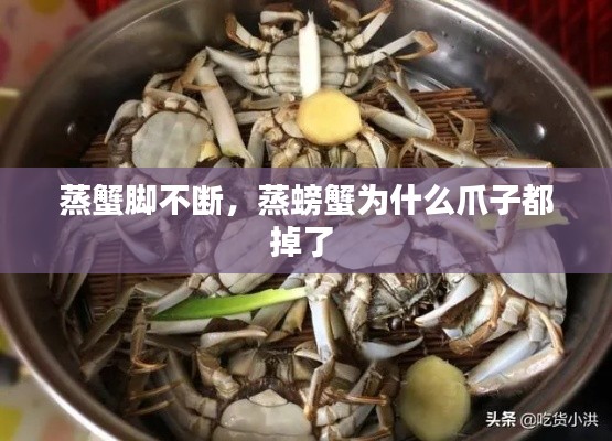 蒸蟹脚不断,蒸螃蟹为什么爪子都掉了