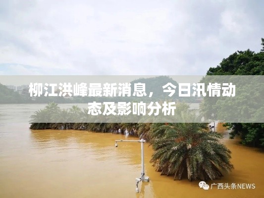 柳江洪峰最新消息，今日汛情动态及影响分析
