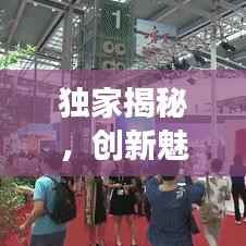 独家揭秘,创新魅力与力量的探索之旅