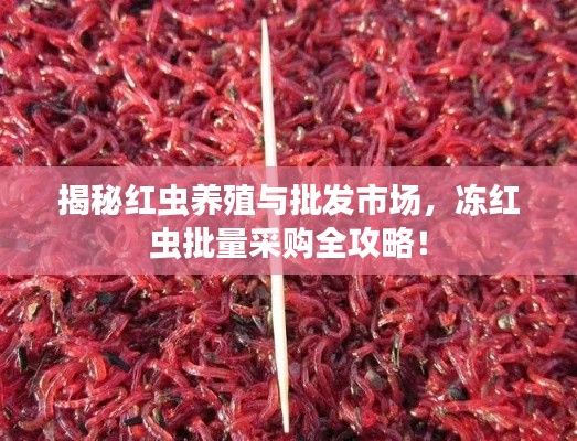 揭秘红虫养殖与批发市场,冻红虫批量采购全攻略!