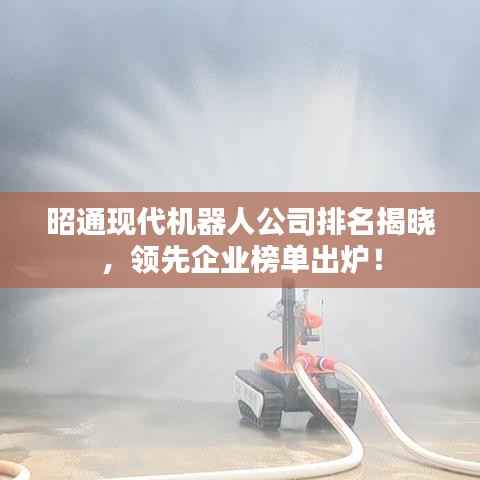 昭通现代机器人公司排名揭晓,领先企业榜单出炉!