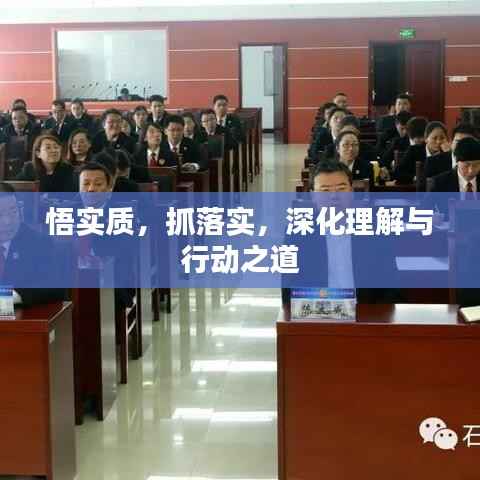 悟实质,抓落实,深化理解与行动之道