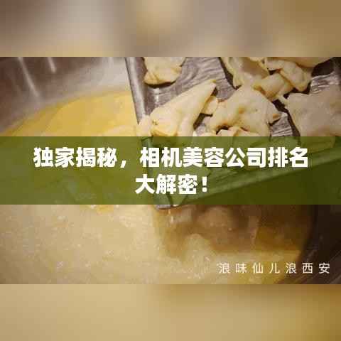 独家揭秘,相机美容公司排名大解密!