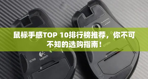 鼠标手感TOP 10排行榜推荐,你不可不知的选购指南!