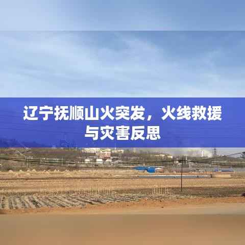 辽宁抚顺山火突发,火线救援与灾害反思