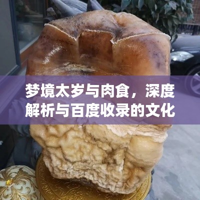 梦境太岁与肉食,深度解析与百度收录的文化解读