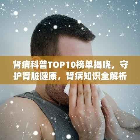 肾病科普TOP10榜单揭晓,守护肾脏健康,肾病知识全解析