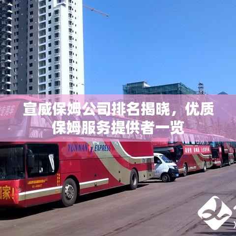 宣威保姆公司排名揭晓,优质保姆服务提供者一览