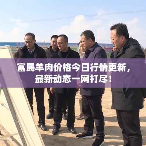 富民羊肉价格今日行情更新,最新动态一网打尽!